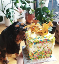 Load image into Gallery viewer, Sprinkle Cake