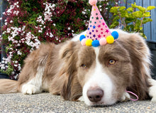 Load image into Gallery viewer, Pom Pom Pet Hat