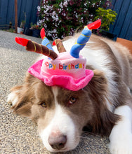 Load image into Gallery viewer, Birthday Cake Hat (With candles!!)