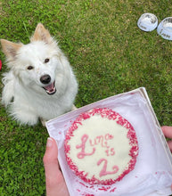Load image into Gallery viewer, MEGA PAW-SIZED Barkday or Gotcha Day biscuit