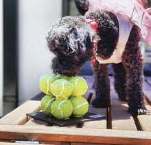 Load image into Gallery viewer, Balls Balls and more Balls