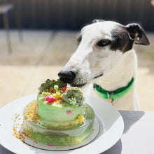 Load image into Gallery viewer, Brothilicious