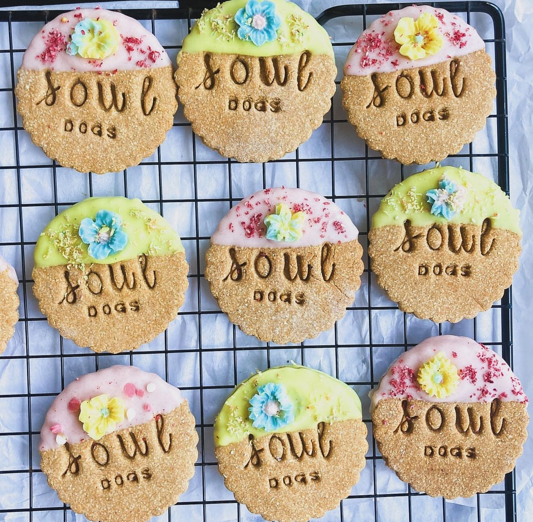 Pawty Biscuit Packs (x10)