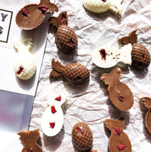 Load image into Gallery viewer, Dogocolate Packs
