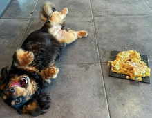 Load image into Gallery viewer, Number Cake
