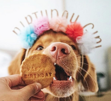 Load image into Gallery viewer, Pawty Biscuit Packs (x10)
