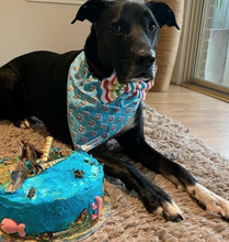 Load image into Gallery viewer, Gallery of Previous Custom cakes
