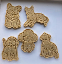 Load image into Gallery viewer, Poochies
