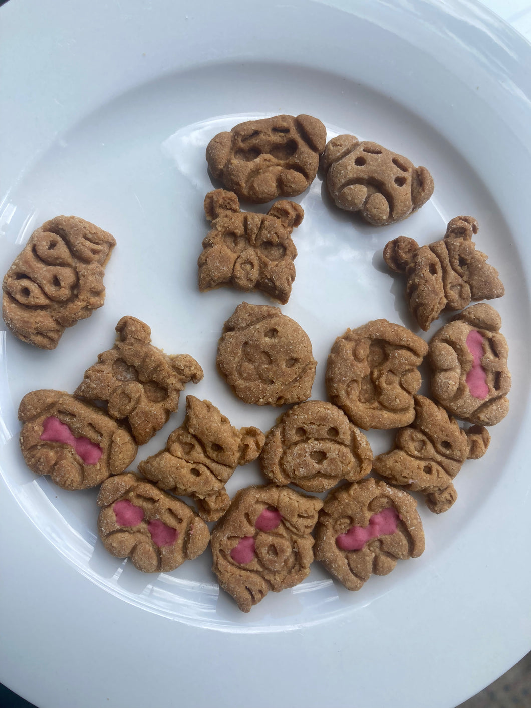 Pawlentine Pooches with heart sunnies