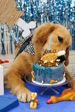 Load image into Gallery viewer, GIMME CHIMKEN!
